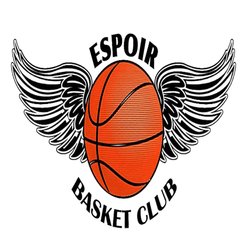 logo équipe domicile